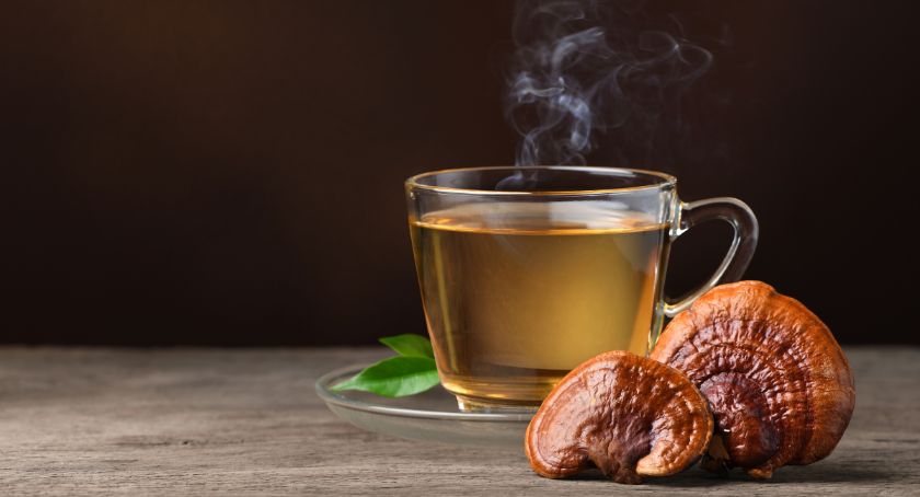 Nammex Publishes Sensory Panel Report to Aid Mushroom Beverage Manufacturing